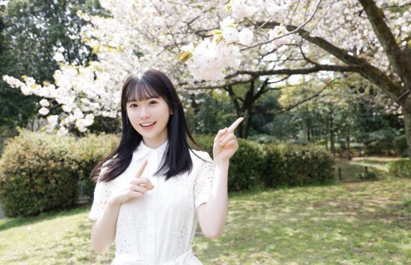 白上咲花出道作品番号及封面,白上咲花个人简介